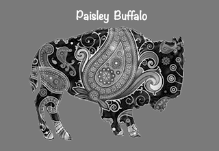 PAISLEY BUFFALO logo