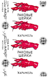 PAKQBLE WENKN KABAMEJB KOHA PACRBUI MOCKBA logo
