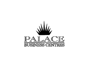 PALACE BUSINESS CENTRES logo