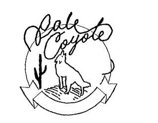 PALE COYOTE logo