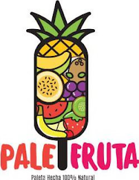 PALE FRUTA PALETA HECHA 100% NATURAL logo