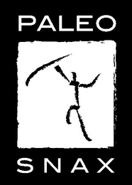 PALEO SNAX logo