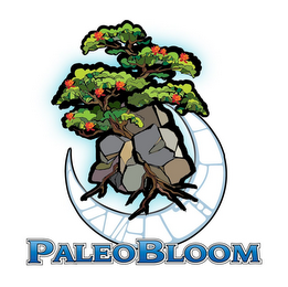 PALEOBLOOM logo