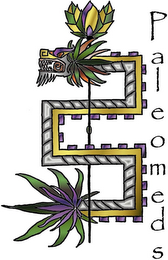 PALEOMEDS logo