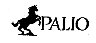 PALIO logo