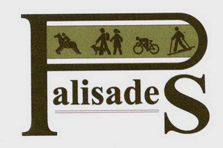 PALISADES logo