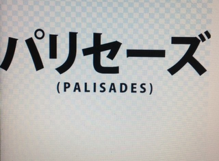 PALISADES logo