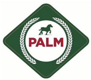 PALM logo