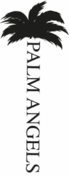 PALM ANGELS logo