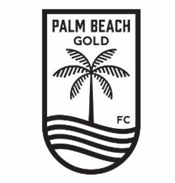PALM BEACH GOLD FC logo