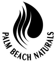 PALM BEACH NATURALS logo