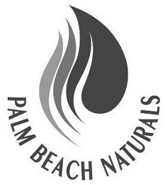 PALM BEACH NATURALS logo