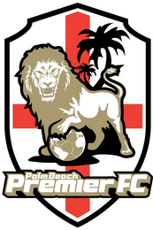 PALM BEACH PREMIER FC logo