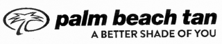PALM BEACH TAN A BETTER SHADE OF YOU logo