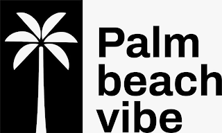 PALM BEACH VIBE logo