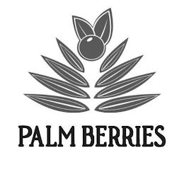 PALM BERRIES logo