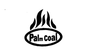 PALM COAL logo