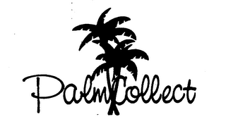 PALM COLLECT logo