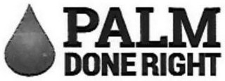 PALM DONE RIGHT logo