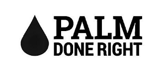 PALM DONE RIGHT logo