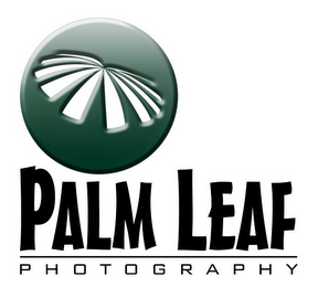PALM LEAF PHOTOGRAPHY logo