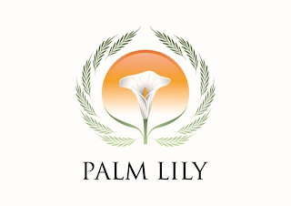 PALM LILY logo