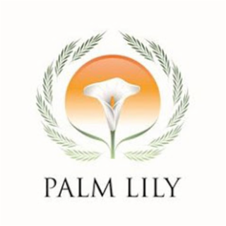 PALM LILY logo