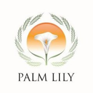 PALM LILY logo