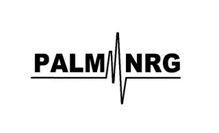 PALM NRG logo