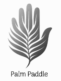 PALM PADDLE logo