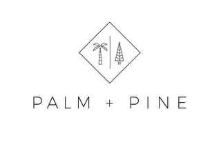 PALM + PINE logo