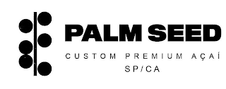 PALM SEED CUSTOM PREMIUM AÇAÍ SP/CA logo