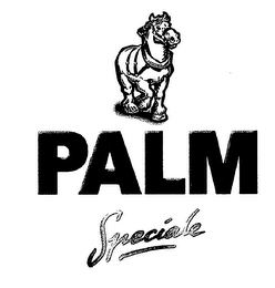 PALM SPECIALE logo