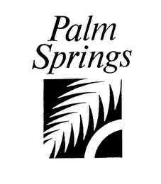 PALM SPRINGS logo