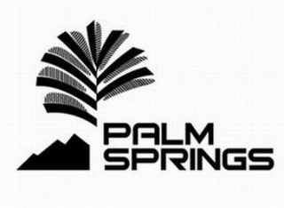 PALM SPRINGS logo