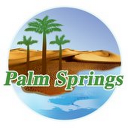 PALM SPRINGS logo