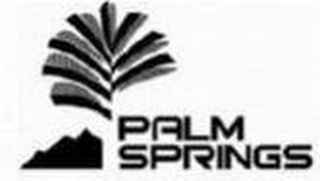 PALM SPRINGS logo