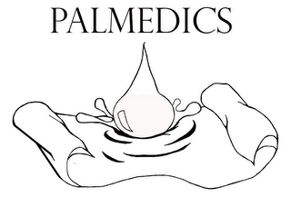 PALMEDICS logo