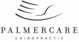 PALMERCARE CHIROPRACTIC logo
