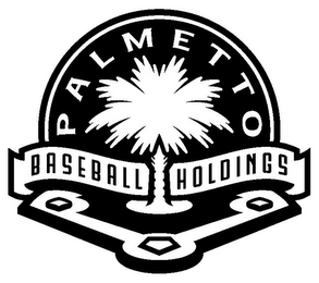 PALMETTO BASEBALL HOLDINGS logo