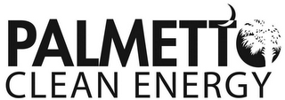 PALMETTO CLEAN ENERGY logo
