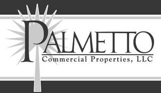 PALMETTO COMMERCIAL PROPERTIES, LLC logo