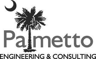 PALMETTO ENGINEERING & CONSULTING logo