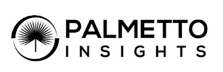 PALMETTO INSIGHTS logo