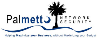 PALMETTO NETWORK SECURITY HELPING MAXIMIZE YOUR BUSINESS, WITHOUT MAXIMIZING YOUR BUDGET logo