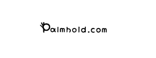 PALMHOLD.COM logo