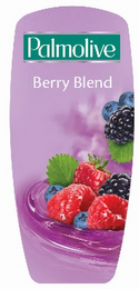 PALMOLIVE BERRY BLEND logo
