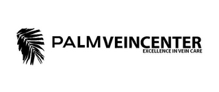 PALMVEINCENTER EXCELLENCE IN VEIN CARE logo