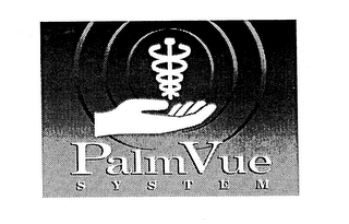 PALMVUE SYSTEM logo