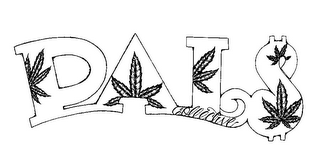 PALS COLLECTIVE logo